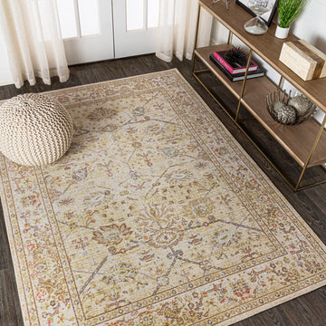 Alba Modern Faded Peshawar Area Rug